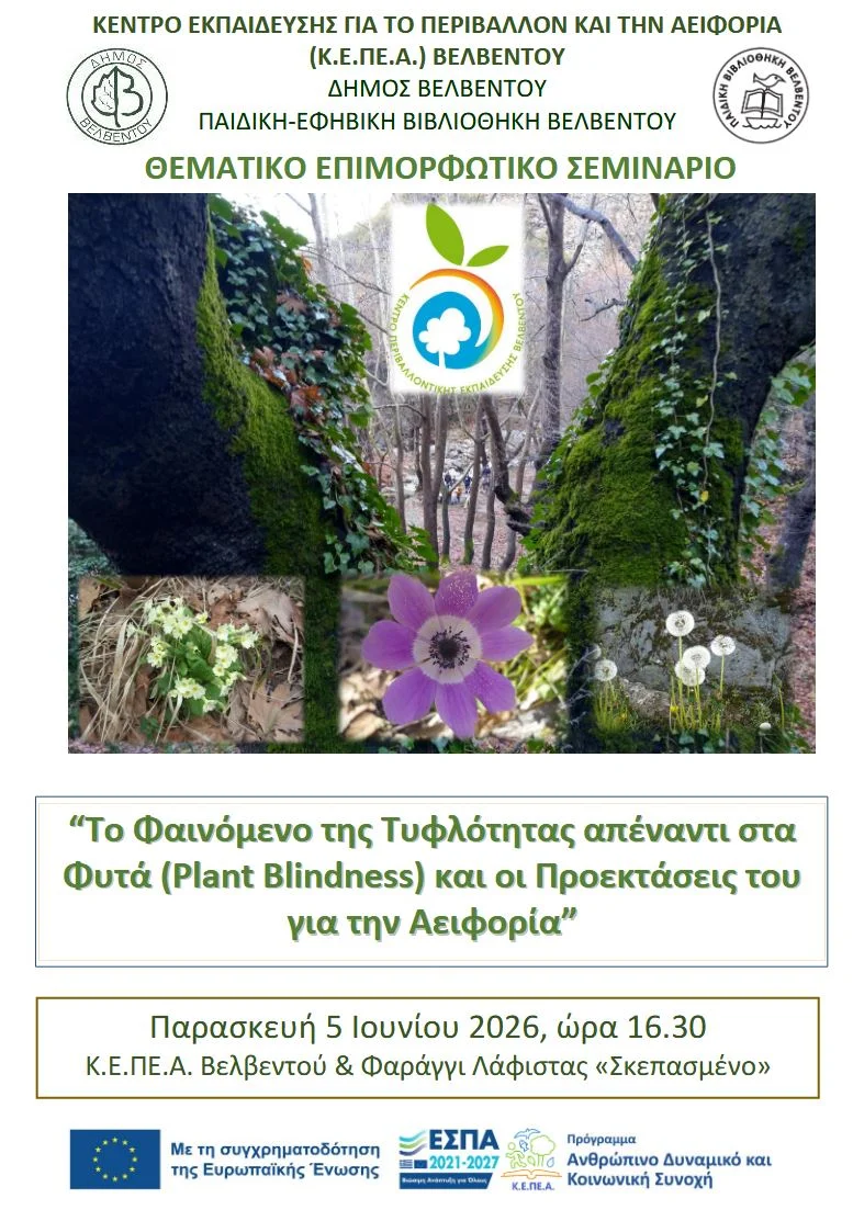 seminario KEPEA Velvento